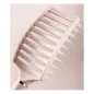 Powder Hair Brush – Lifts Roots and Massages Scalp | Diana Beauty & Creative Powder Hair Brush – Lifts Roots and Massages Scalp | Diana Beauty & Creative