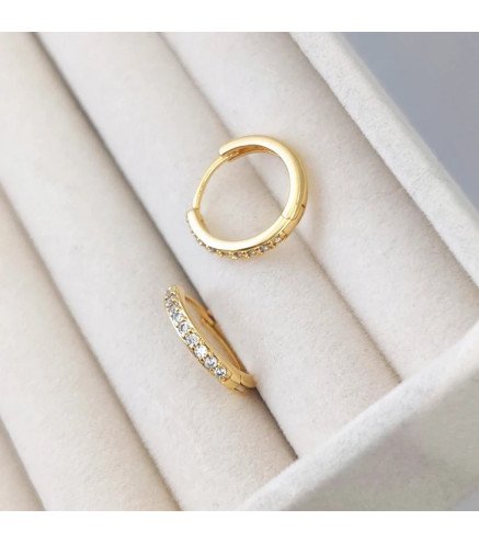 Roestvrijstalen oorbellen CIRCLES ZIRCONIA
