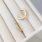 Stainless steel earrings CIRCLES ZIRCONIA Stainless steel earrings CIRCLES ZIRCONIA