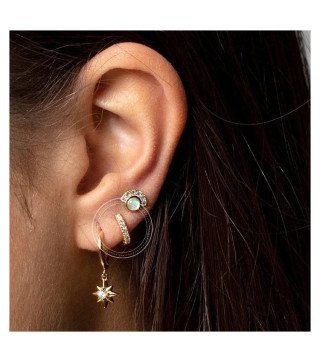 Stainless steel earrings CIRCLES ZIRCONIA
