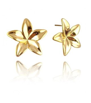 Boucles d'oreilles en acier inoxydable FLOWER or