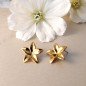 Boucles d'oreilles en acier inoxydable FLOWER or