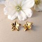 Edelstahlohrringe FLOWER gold Edelstahlohrringe FLOWER gold