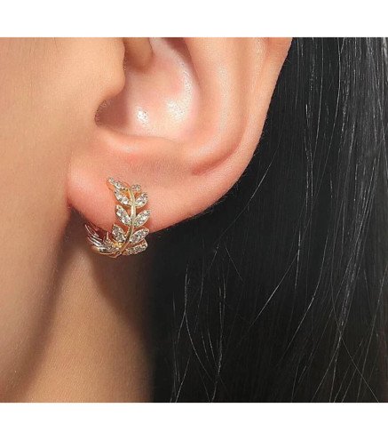 Stainless steel earrings hanging circles LEAF