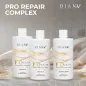 Pro Repair Capilare Complex - régénération intensive sans lisseur Set 01 500ml, 02 500ml et shampooing pré-traitement 500ml Pro Repair Capilare Complex - régénération intensive sans lisseur Set 01 500ml, 02 500ml et shampooing pré-traitement 500ml