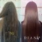 Golden Professional – Organische Haarglättung & Haarreparatur 500 ml + Vorbehandlungsshampoo 300 ml | Diana Beauty